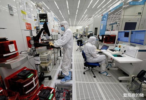 名校精英留學(xué)海外,中國(guó)芯片發(fā)展該如何解決