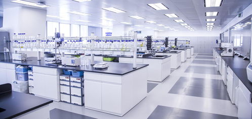 上美集團副總裁劉明 傳統(tǒng)品牌獲得新銳增長的四大關(guān)鍵