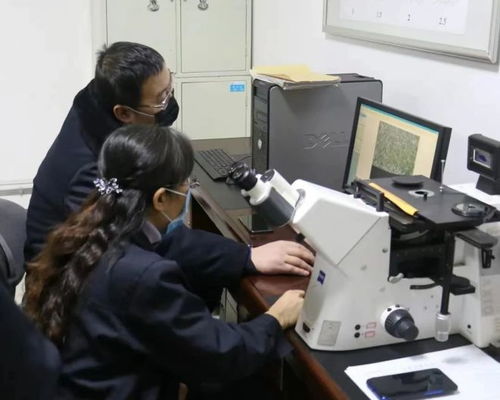 科技創新為發展賦能 包鋼股份成功研發高強度熱處理鋼軌 實現首次出口