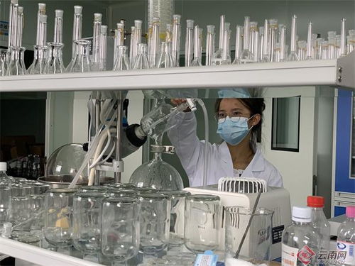 臨滄工業園區 抓住科技創新 牛鼻子 賦能高質量發展